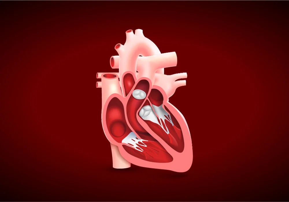 تشخیص نارسایی دریچه قلب