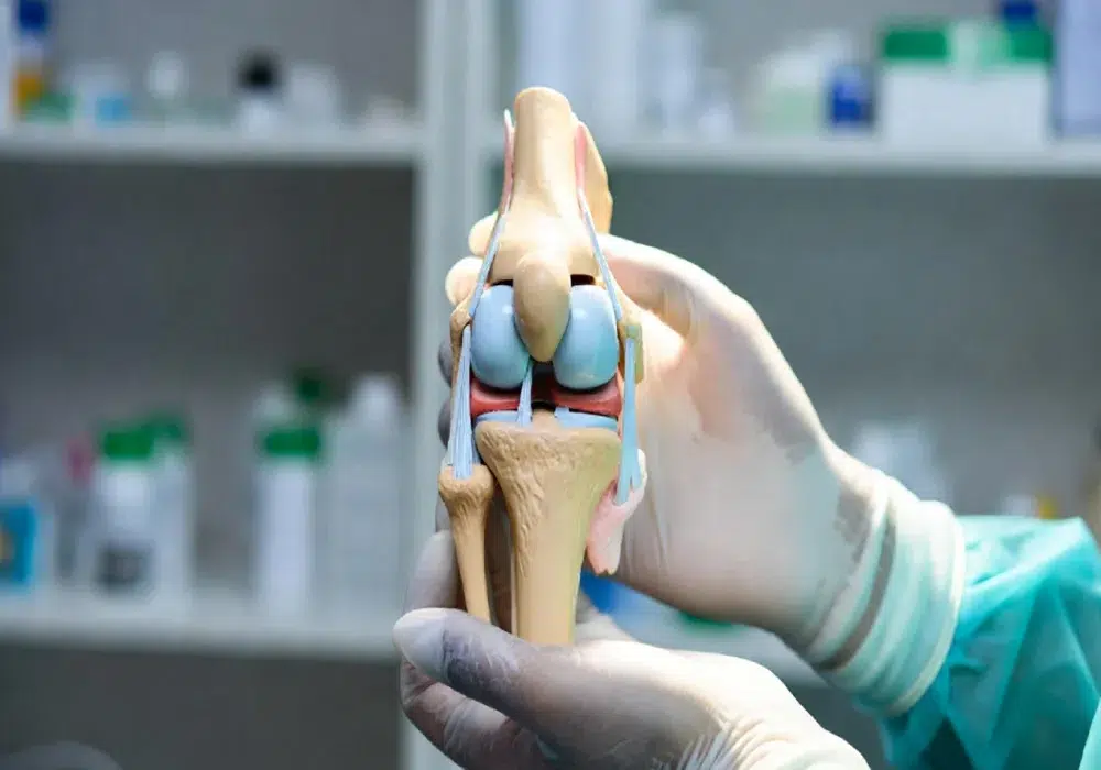 جراح ارتوپد زانو تهران