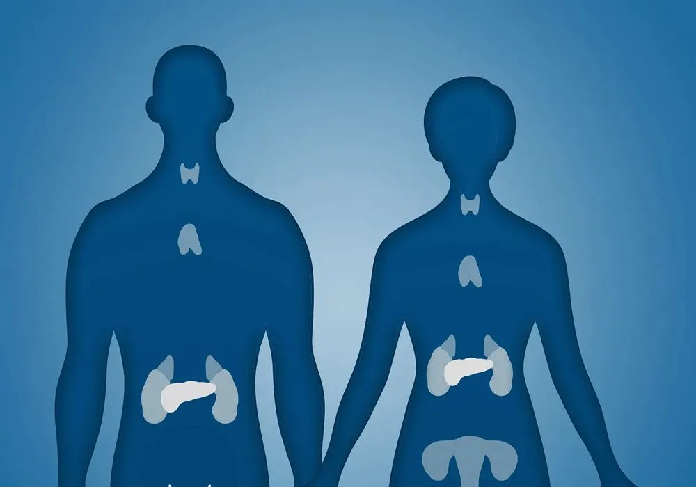 غدد درون ریز بدن