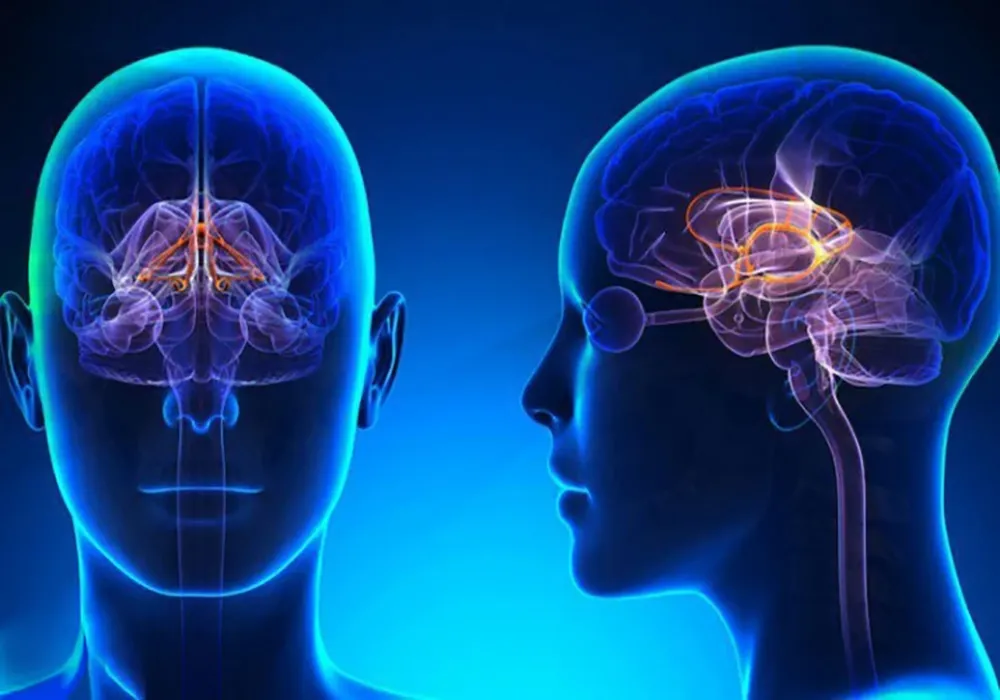 پرولاکتینوما چیست؟ علائم و درمان پرولاکتینوما در زنان و مردان