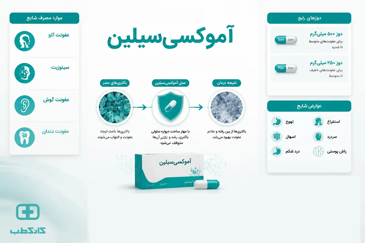 نحوه عملکرد آموکسیسیلین