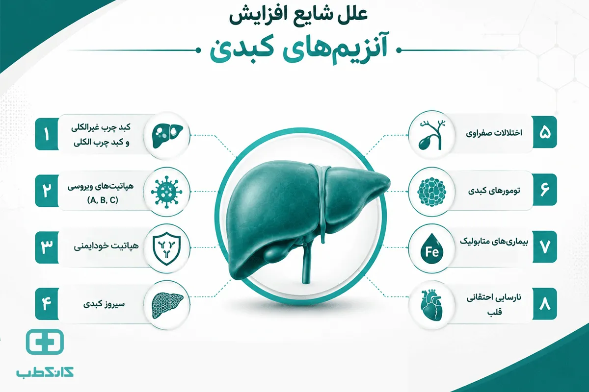 چه بیماریهایی باعث بالا رفتن آنزیمهای کبدی میشوند